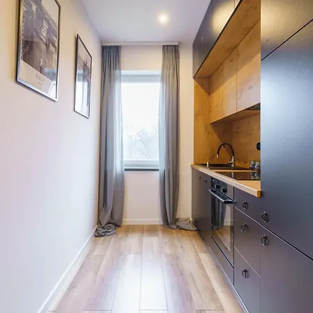 Loftowy W Sercu Slaska Apartment