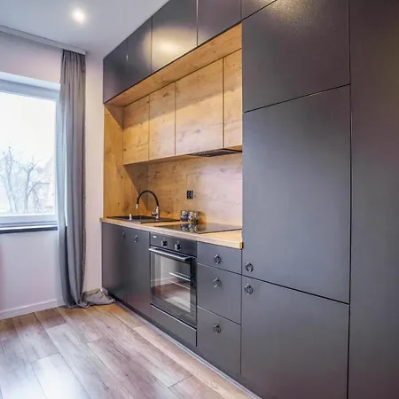Apartment Loftowy W Sercu Slaska Ruda Slaska