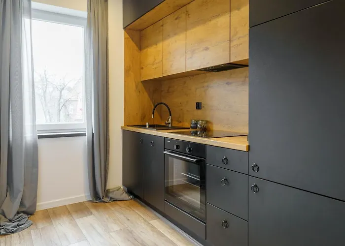 Loftowy W Sercu Slaska * רודה שלונסקה