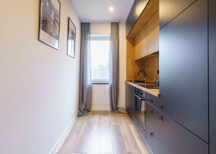 Loftowy W Sercu Slaska דירה