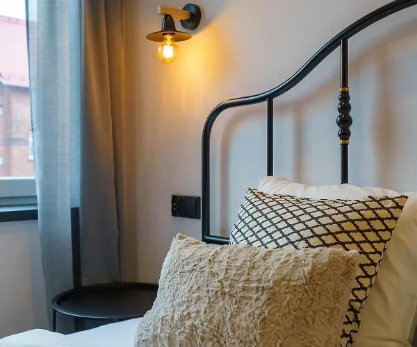 Loftowy W Sercu Slaska רודה שלונסקה