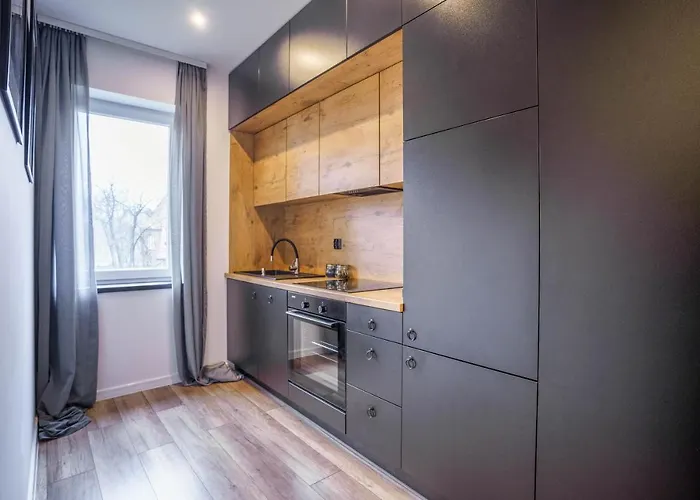 דירה Loftowy W Sercu Slaska רודה שלונסקה